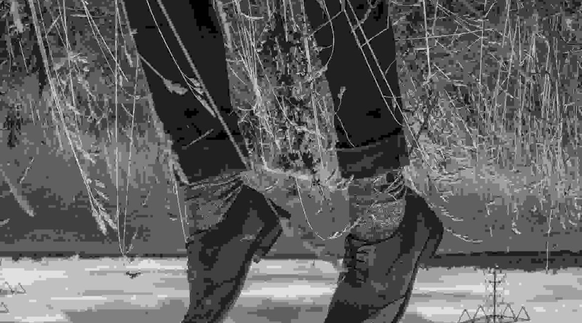 Legs from the grass, upside down